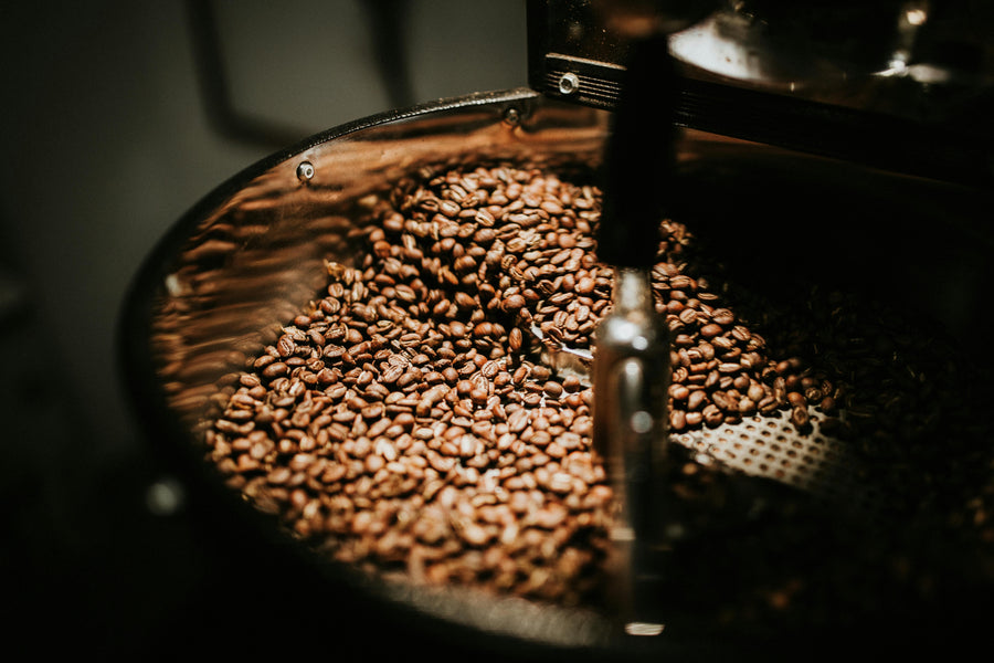 Whole Bean vs. Ground Coffee: Which Should You Buy?